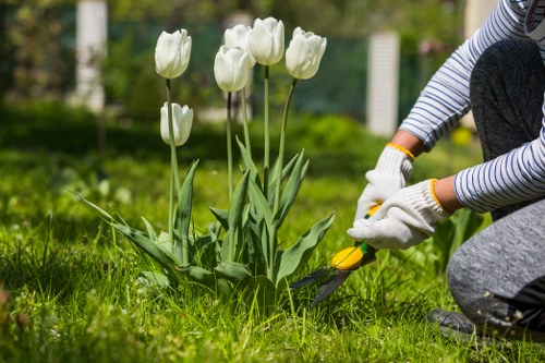 Professional hedge trimming service in Raynes Park
