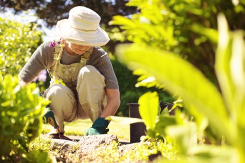 Professional garden clearance service in Raynes Park