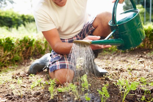 Eco-friendly lawn mowing practices