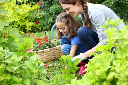 Seasonal plants in a Raynes Park garden