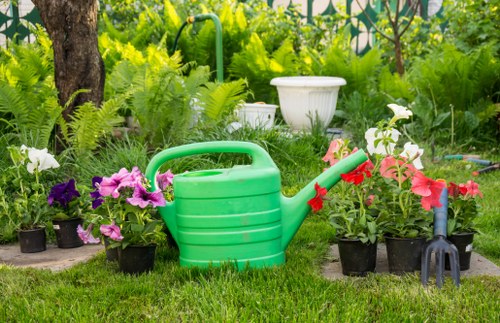 Lush green outdoor garden in Raynes Park