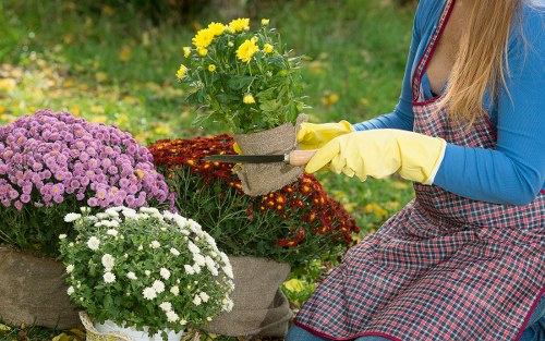 Sustainable landscaping trends in Raynes Park
