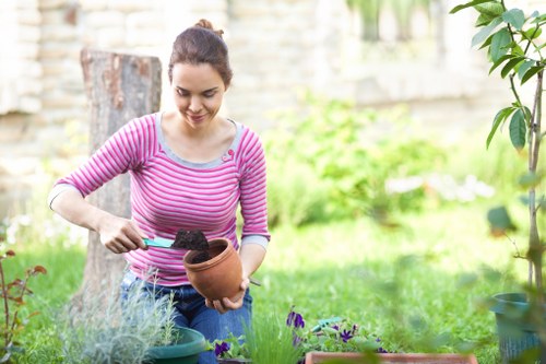 Professional landscaper working on garden design