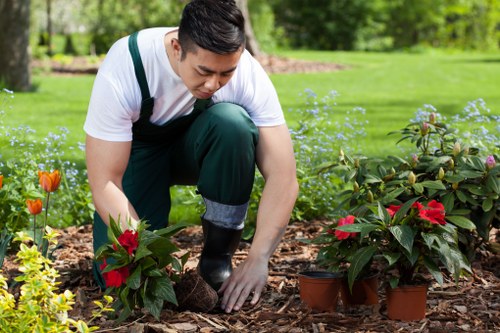 Choosing the right landscaping company in Raynes Park