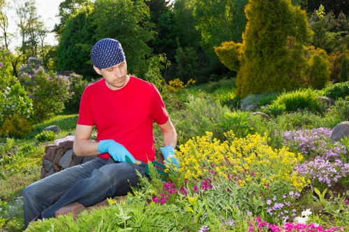 Seasonal planting by Raynes Park Garden Maintenance team