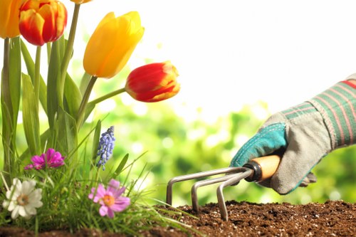 Choosing the right lawn care provider