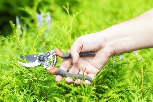 Gardener pruning shrubs in a suburban Raynes Park garden