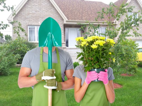 Pruning plants in a Raynes Park garden