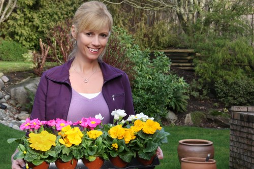 Vibrant Raynes Park garden showcasing seasonal maintenance